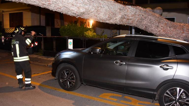 Romagna devastata dalle raffiche di vento: alberi crollati su case, auto e strade. Feriti a San Marino. Famiglie senza luce. Il fiume Montone oltre la soglia rossa Romagna devastata dalle raffiche di vento: alberi crollati su case, auto e strade. Feriti a San Marino. Famiglie senza luce. Il fiume Montone oltre la soglia rossa