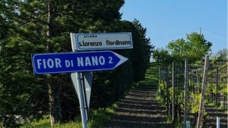 Meldola, 100mila euro per la strada comunale San Lorenzo-Fiordinano Meldola, 100mila euro per la strada comunale San Lorenzo-Fiordinano