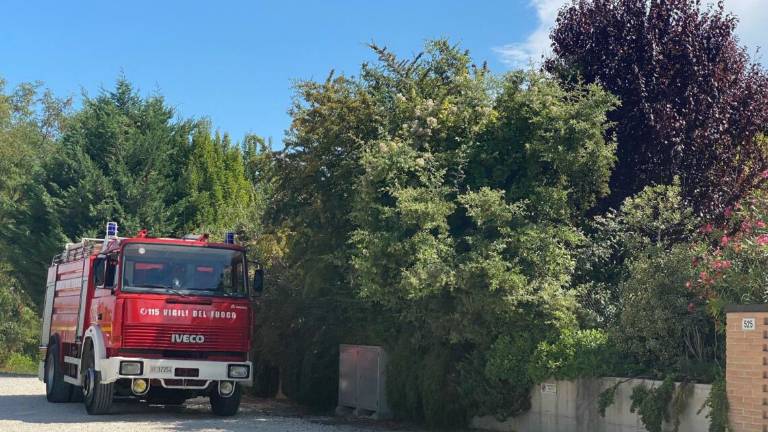Cesena: serpente si rifugia in una casa di Martorano Cesena: serpente si rifugia in una casa di Martorano