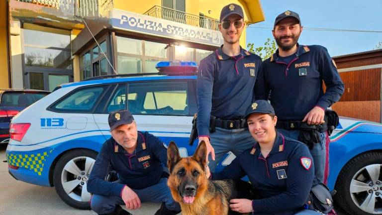 I poliziotti col cane Sheila I poliziotti col cane Sheila