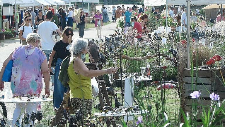 Rimini, un pieno di colori e profumi per salutare Giardini d'autore Rimini, un pieno di colori e profumi per salutare Giardini d'autore