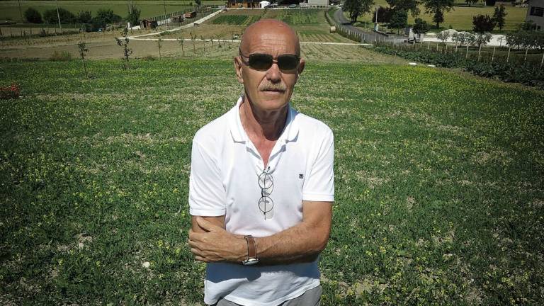 Calcio C, il Tar respinge il Rimini: i play-out si giocheranno Calcio C, il Tar respinge il Rimini: i play-out si giocheranno