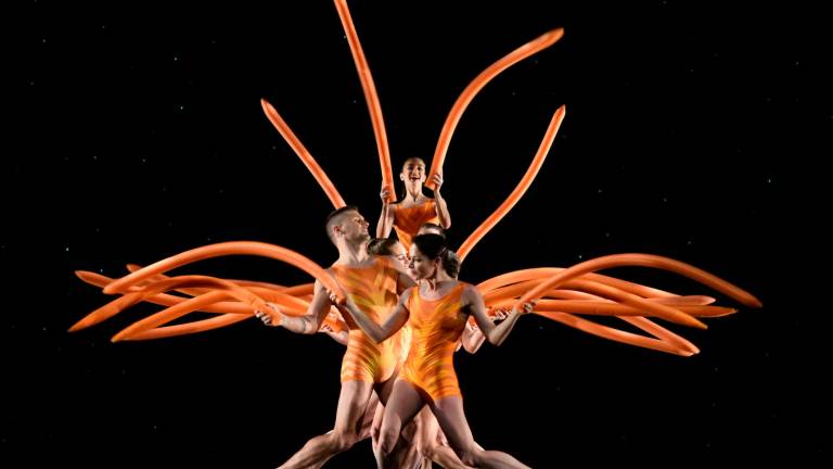Tornano i Momix, dove acquistare i biglietti Tornano i Momix, dove acquistare i biglietti