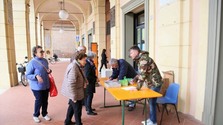 Bagnacavallo, distribuzione gratuita del larvicida per zanzare Bagnacavallo, distribuzione gratuita del larvicida per zanzare
