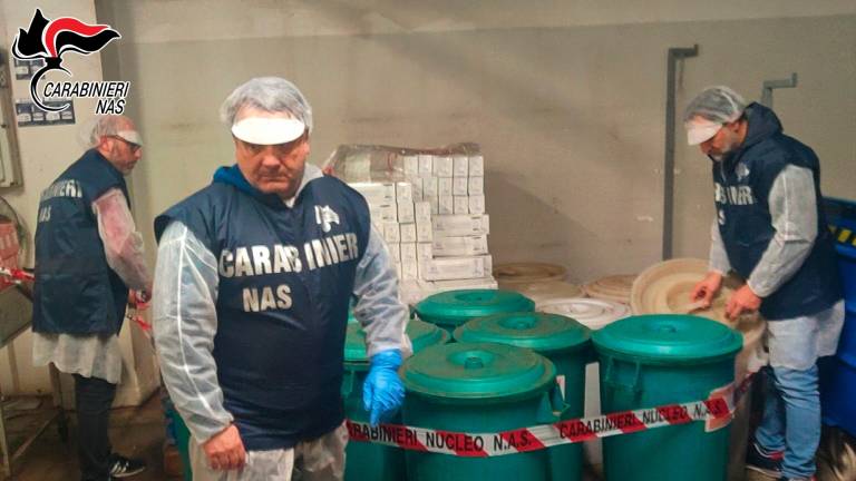 Lucertole e roditori nel deposito del caffè: i Nas in azione a Forlì e Imola VIDEO Lucertole e roditori nel deposito del caffè: i Nas in azione a Forlì e Imola VIDEO