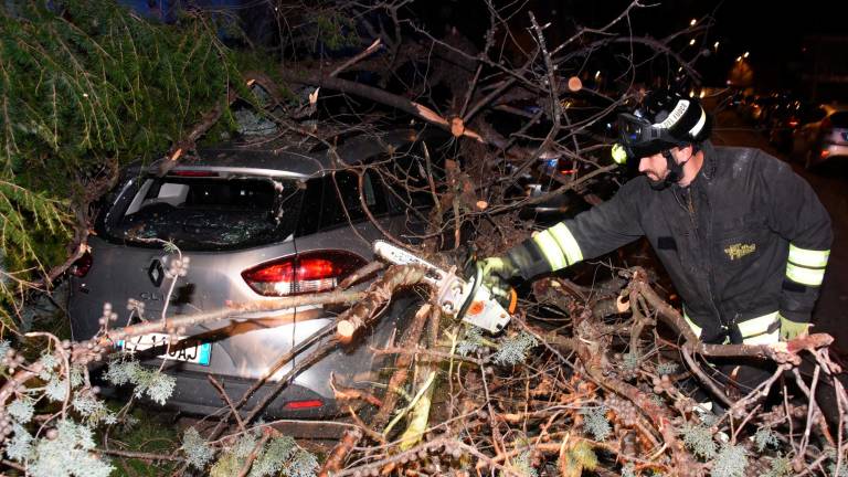 Romagna devastata dalle raffiche di vento: alberi crollati su case, auto e strade. Feriti a San Marino. Famiglie senza luce. Il fiume Montone oltre la soglia rossa Romagna devastata dalle raffiche di vento: alberi crollati su case, auto e strade. Feriti a San Marino. Famiglie senza luce. Il fiume Montone oltre la soglia rossa