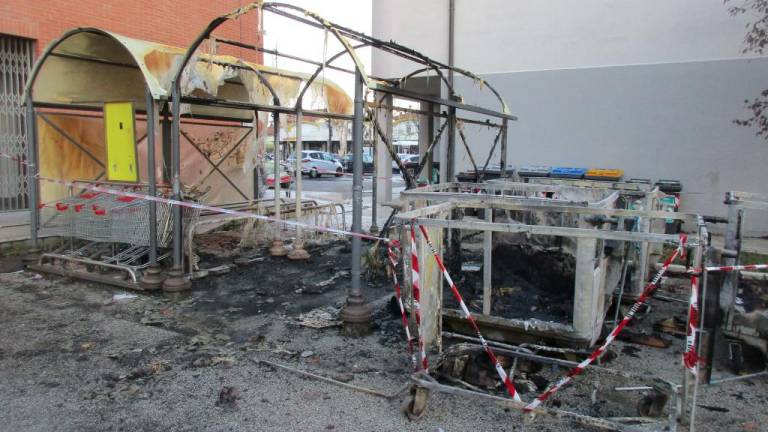 Savignano, un bambino di 10 anni appicca il fuoco per i followers su Tik Tok. Lo psicologo: I genitori? Assenti Savignano, un bambino di 10 anni appicca il fuoco per i followers su Tik Tok. Lo psicologo: I genitori? Assenti