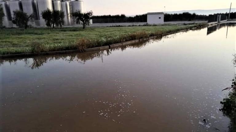 Silos svuotati a Foggia, Ravenna ospita cantina colpita a GiovinBacco Silos svuotati a Foggia, Ravenna ospita cantina colpita a GiovinBacco