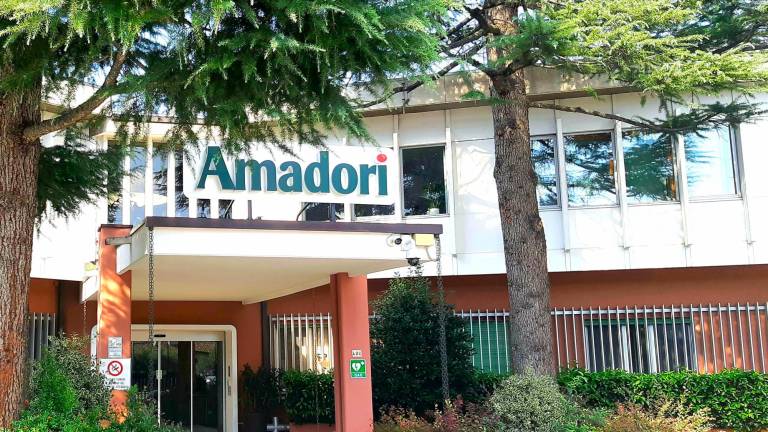 Amadori, ricavi per 1.780 milioni di euro. Meno pollo e più vegetali nella nuova strategia Amadori, ricavi per 1.780 milioni di euro. Meno pollo e più vegetali nella nuova strategia