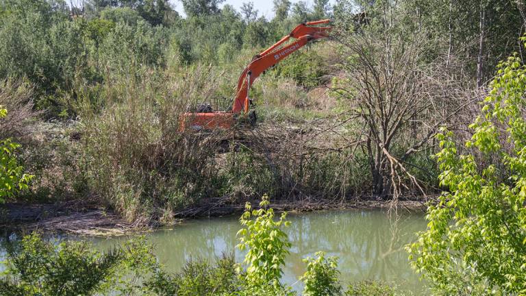 Ca' di Bianchi: incontro Comune di Cesena, Wwf e ditta appaltatrice Ca' di Bianchi: incontro Comune di Cesena, Wwf e ditta appaltatrice