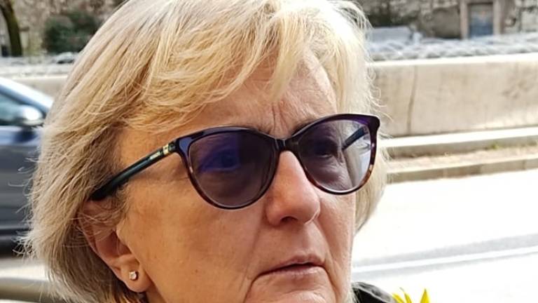 Imola, Bruna Gualandi nuovo capogruppo Pd in Comune Imola, Bruna Gualandi nuovo capogruppo Pd in Comune