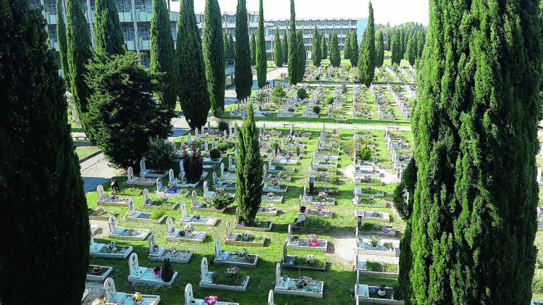 San Mauro Pascoli, grido di dolore per il furto di fiori da tomba al cimitero San Mauro Pascoli, grido di dolore per il furto di fiori da tomba al cimitero