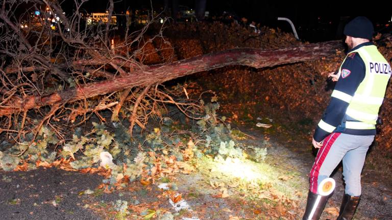 Romagna devastata dalle raffiche di vento: alberi crollati su case, auto e strade. Feriti a San Marino. Famiglie senza luce. Il fiume Montone oltre la soglia rossa Romagna devastata dalle raffiche di vento: alberi crollati su case, auto e strade. Feriti a San Marino. Famiglie senza luce. Il fiume Montone oltre la soglia rossa