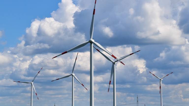 Ravenna, un parco fotovoltaico a nord di Savio Ravenna, un parco fotovoltaico a nord di Savio