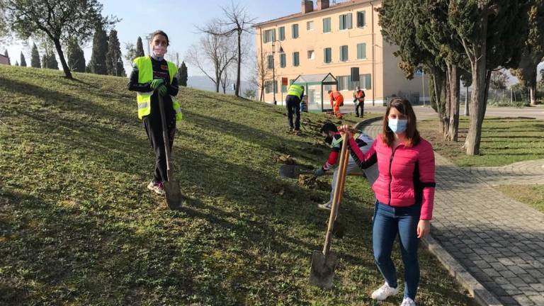 Longiano, le prime piante di Mettiamo radici per il futuro Longiano, le prime piante di Mettiamo radici per il futuro