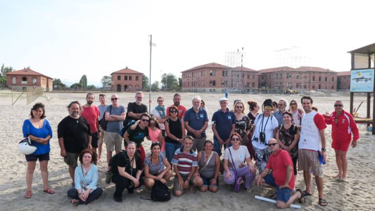 Rimini, gli ambientalisti: Giù le mani dal fratino Rimini, gli ambientalisti: Giù le mani dal fratino