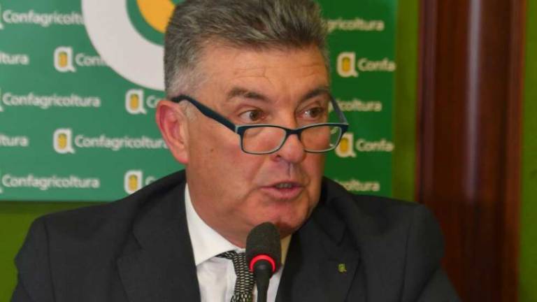 «Sistema agroalimentare a Cesena e Forlì pronto alla fase due» «Sistema agroalimentare a Cesena e Forlì pronto alla fase due»