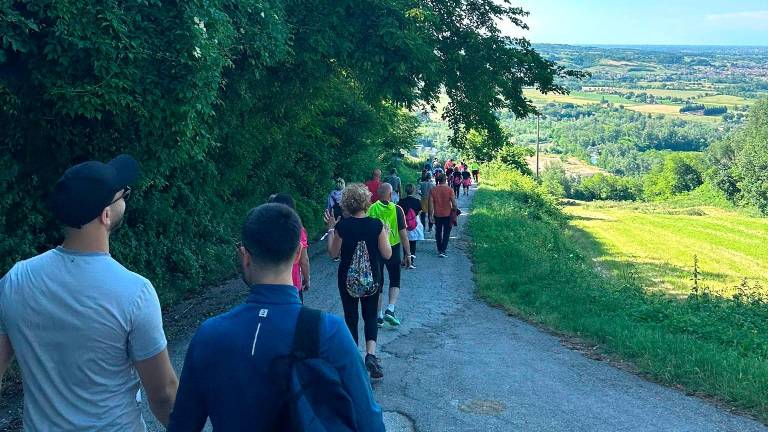 Meldola, un nuovo successo per il “Memorial Gaetano Foggetti” - Gallery Meldola, un nuovo successo per il “Memorial Gaetano Foggetti” - Gallery