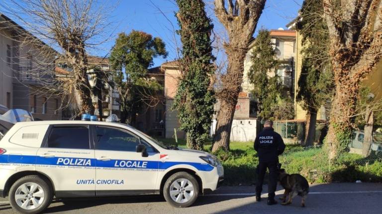 Rimini. Blitz coi cani nel Villino Ricci diventato luogo di degrado Rimini. Blitz coi cani nel Villino Ricci diventato luogo di degrado