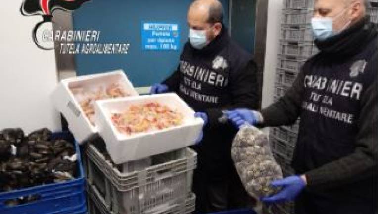 Cesenatico, scadenza degli scampi allungata di 2 anni: denunciato Cesenatico, scadenza degli scampi allungata di 2 anni: denunciato