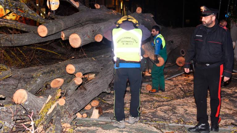 Romagna devastata dalle raffiche di vento: alberi crollati su case, auto e strade. Feriti a San Marino. Famiglie senza luce. Il fiume Montone oltre la soglia rossa Romagna devastata dalle raffiche di vento: alberi crollati su case, auto e strade. Feriti a San Marino. Famiglie senza luce. Il fiume Montone oltre la soglia rossa