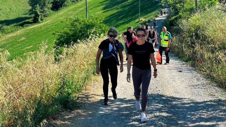 Meldola, un nuovo successo per il “Memorial Gaetano Foggetti” - Gallery Meldola, un nuovo successo per il “Memorial Gaetano Foggetti” - Gallery