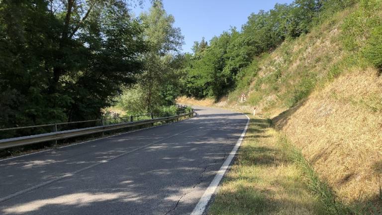 Cesena: progetto definitivo e appalto entro l'anno per la ciclabile Borello - Borgo delle Rose Cesena: progetto definitivo e appalto entro l'anno per la ciclabile Borello - Borgo delle Rose