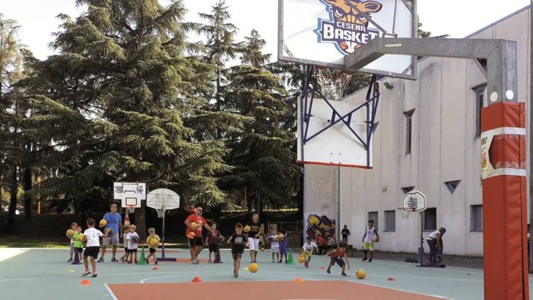 La Cesena Basket 2005 si rimette in moto lunedì 28: la base viene da numeri da record La Cesena Basket 2005 si rimette in moto lunedì 28: la base viene da numeri da record