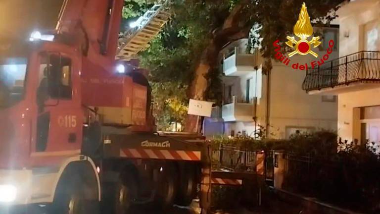 Maltempo Rimini, per la rimozione di un albero pericolante a Viserba allontanate 19 persone e 5 animali domestici Maltempo Rimini, per la rimozione di un albero pericolante a Viserba allontanate 19 persone e 5 animali domestici
