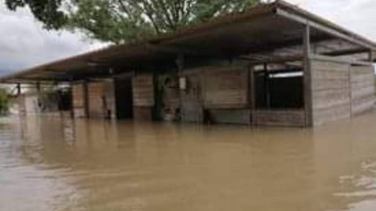 Maltempo, allerta rossa in Romagna fino alla mezzanotte di giovedì Maltempo, allerta rossa in Romagna fino alla mezzanotte di giovedì