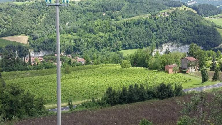 Casola Valsenio, nuovo campo sportivo: in marzo via ai lavori Casola Valsenio, nuovo campo sportivo: in marzo via ai lavori
