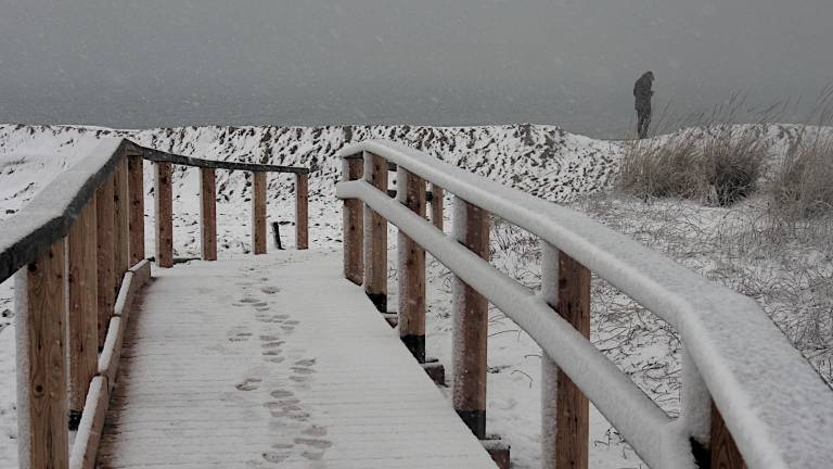 Ravenna, sta per finire il terzo inverno consecutivo senza nevicate Ravenna, sta per finire il terzo inverno consecutivo senza nevicate