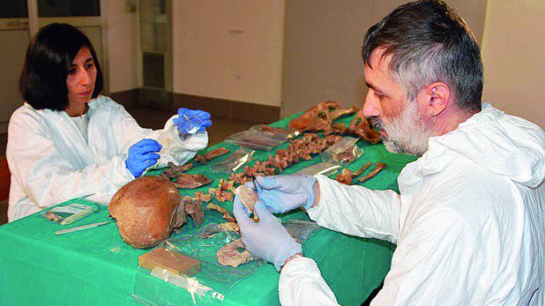 Forlì, San Mercuriale aveva origini armene e soffriva di diabete Forlì, San Mercuriale aveva origini armene e soffriva di diabete