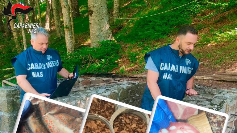 Roditori, merce scaduta, animali sul piano di lavoro: rifugi dell’Appennino emiliano-romagnolo bocciati dai Nas, sospese 4 attività di ristoro Roditori, merce scaduta, animali sul piano di lavoro: rifugi dell’Appennino emiliano-romagnolo bocciati dai Nas, sospese 4 attività di ristoro
