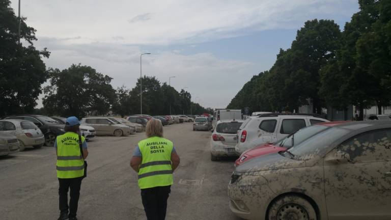 Forlì, ausiliari di Fmi per controllare le auto alluvionate Forlì, ausiliari di Fmi per controllare le auto alluvionate