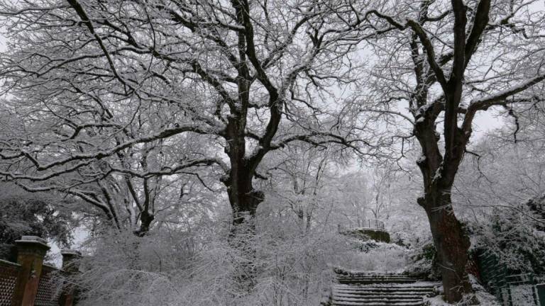 Imola, la neve al Parco delle Acque Minerali Imola, la neve al Parco delle Acque Minerali