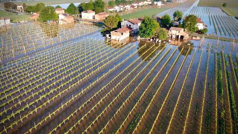 Faenza, “Il mio terreno devastato dall’alluvione, ma in due anni non ho visto un euro” Faenza, “Il mio terreno devastato dall’alluvione, ma in due anni non ho visto un euro”