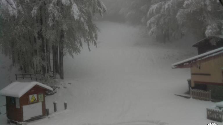 La webcam di questa mattina a Campigna La webcam di questa mattina a Campigna
