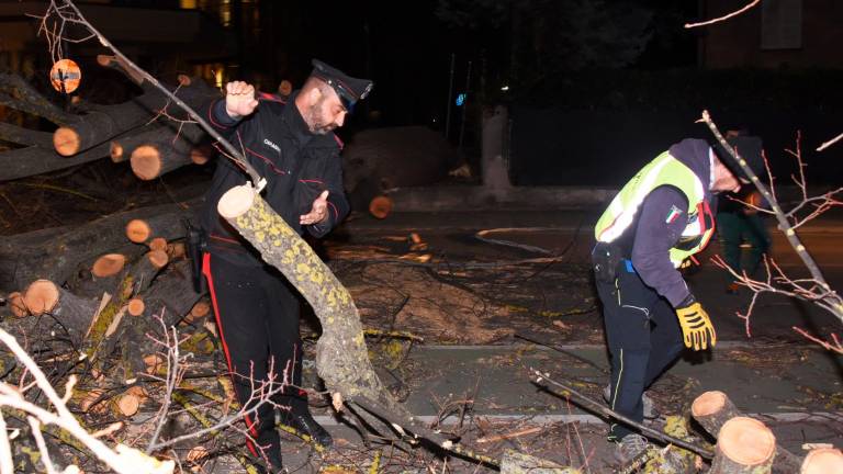 Romagna devastata dalle raffiche di vento: alberi crollati su case, auto e strade. Feriti a San Marino. Famiglie senza luce. Il fiume Montone oltre la soglia rossa Romagna devastata dalle raffiche di vento: alberi crollati su case, auto e strade. Feriti a San Marino. Famiglie senza luce. Il fiume Montone oltre la soglia rossa