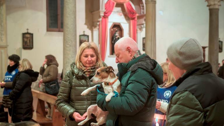 Ravenna, la benedizione degli animali a Sant’Antonio Abate - Gallery Ravenna, la benedizione degli animali a Sant’Antonio Abate - Gallery