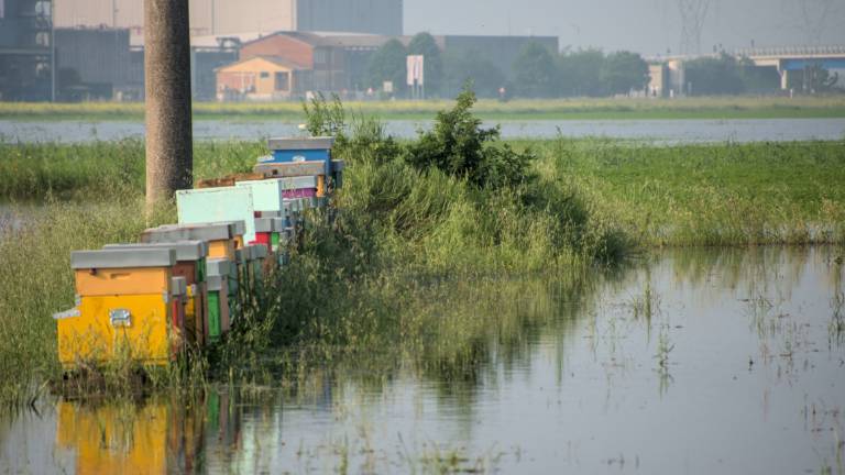 Meteo Romagna, martedì allerta rossa per frane, ma niente pioggia Meteo Romagna, martedì allerta rossa per frane, ma niente pioggia