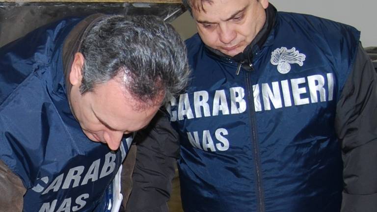 Faenza. Importazione e cessione di farmaci ad azione dopante e stupefacente: 5 denunciati Faenza. Importazione e cessione di farmaci ad azione dopante e stupefacente: 5 denunciati