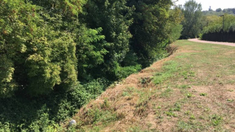 Cesena, al via i lavori al parco Cesuola Cesena, al via i lavori al parco Cesuola