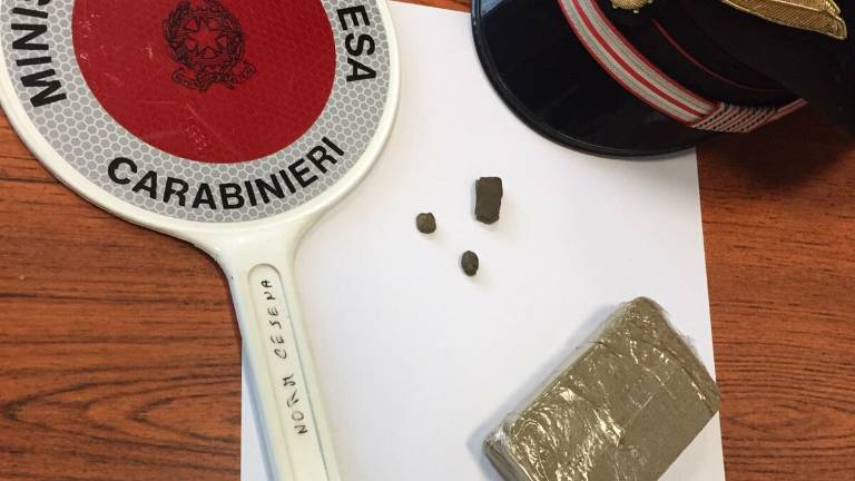 Cesena, mezzo chilo di hashish: patteggia la pena Cesena, mezzo chilo di hashish: patteggia la pena
