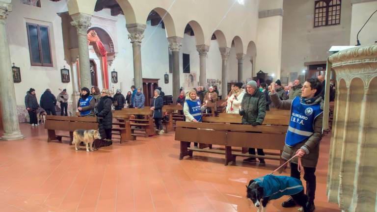 Ravenna, la benedizione degli animali a Sant’Antonio Abate - Gallery Ravenna, la benedizione degli animali a Sant’Antonio Abate - Gallery