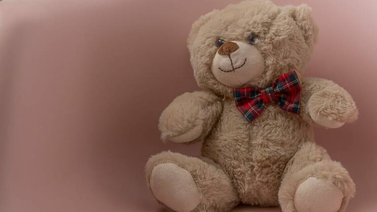 Ravenna, oltre 15mila peluche irregolari Ravenna, oltre 15mila peluche irregolari