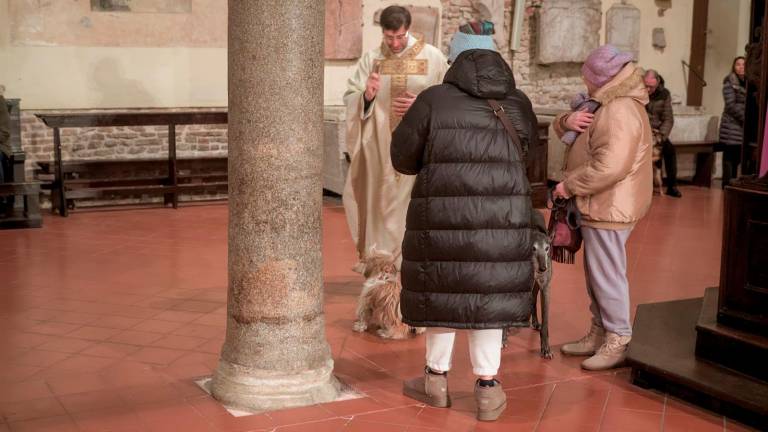 Ravenna, la benedizione degli animali a Sant’Antonio Abate - Gallery Ravenna, la benedizione degli animali a Sant’Antonio Abate - Gallery