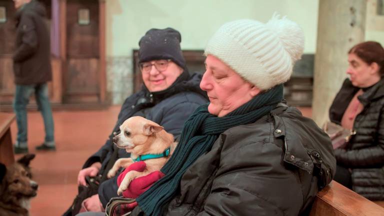 Ravenna, la benedizione degli animali a Sant’Antonio Abate - Gallery Ravenna, la benedizione degli animali a Sant’Antonio Abate - Gallery