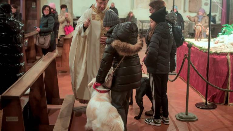 Ravenna, la benedizione degli animali a Sant’Antonio Abate - Gallery Ravenna, la benedizione degli animali a Sant’Antonio Abate - Gallery