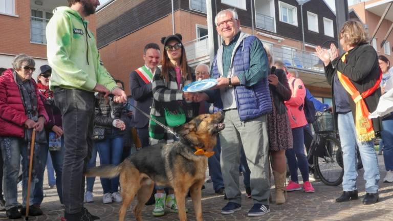 Da turista a cittadino onorario, il cane superstar Marley (con papillon) torna a Marina di Ravenna - Gallery Da turista a cittadino onorario, il cane superstar Marley (con papillon) torna a Marina di Ravenna - Gallery